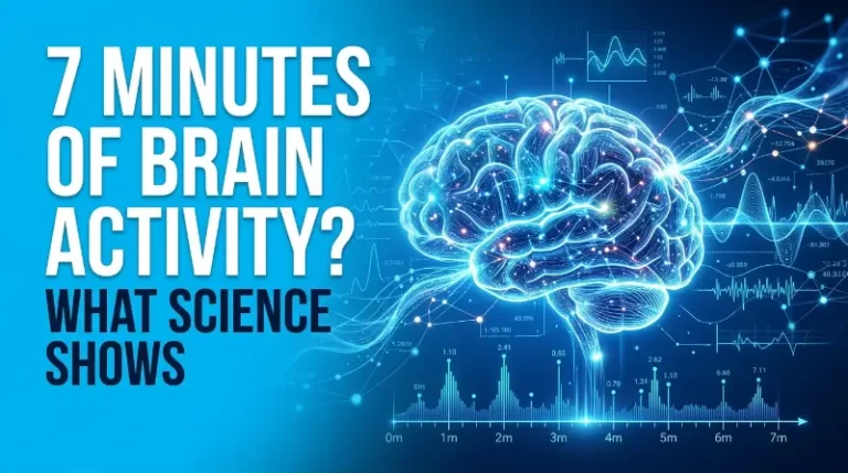 When a Person Dies, Do They Really Have 7 Minutes of Brain Activity? What Science Actually Shows